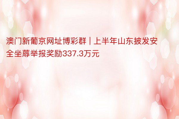 澳门新葡京网址博彩群 | 上半年山东披发安全坐蓐举报奖励337.3万元