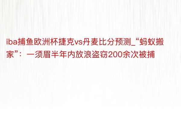 iba捕鱼欧洲杯捷克vs丹麦比分预测_“蚂蚁搬家”：一须眉半年内放浪盗窃200余次被捕