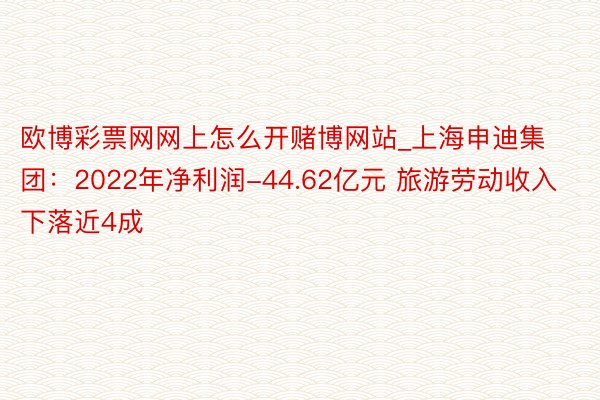 欧博彩票网网上怎么开赌博网站_上海申迪集团：2022年净利润-44.62亿元 旅游劳动收入下落近4成