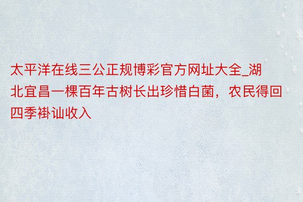 太平洋在线三公正规博彩官方网址大全_湖北宜昌一棵百年古树长出珍惜白菌，农民得回四季褂讪收入