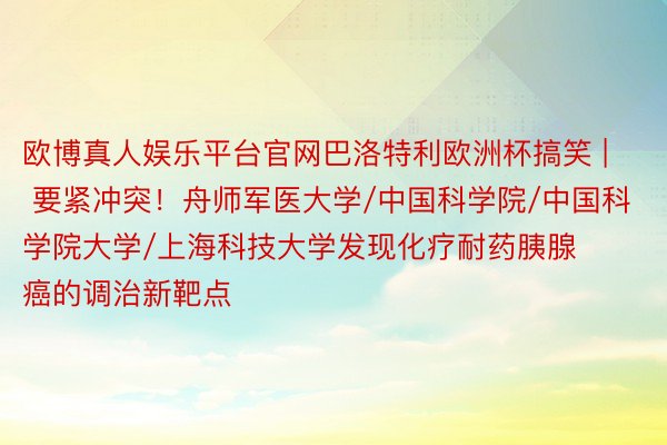 欧博真人娱乐平台官网巴洛特利欧洲杯搞笑 | 要紧冲突！舟师军医大学/中国科学院/中国科学院大学/上海科技大学发现化疗耐药胰腺癌的调治新靶点