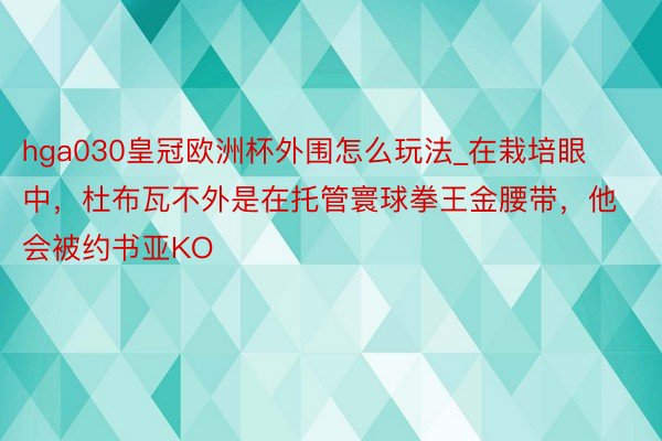 hga030皇冠欧洲杯外围怎么玩法_在栽培眼中，杜布瓦不外是在托管寰球拳王金腰带，他会被约书亚KO