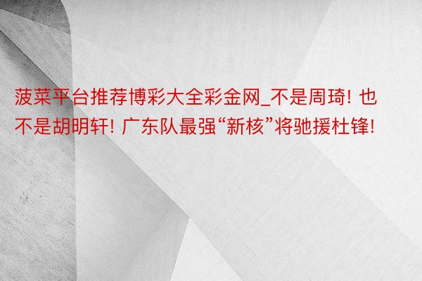 菠菜平台推荐博彩大全彩金网_不是周琦! 也不是胡明轩! 广东队最强“新核”将驰援杜锋!