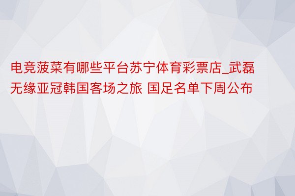 电竞菠菜有哪些平台苏宁体育彩票店_武磊无缘亚冠韩国客场之旅 国足名单下周公布